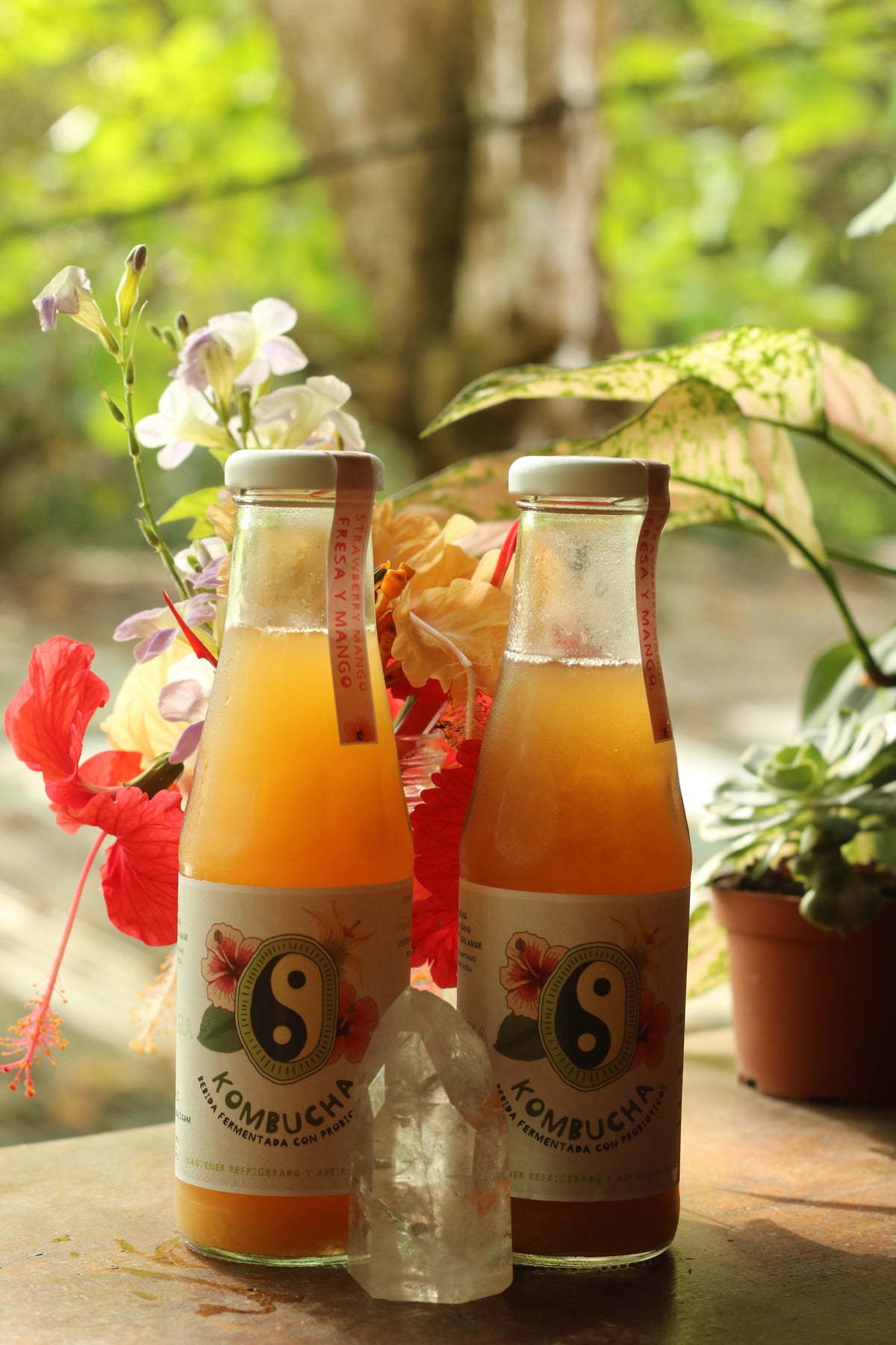 KOMBUCHA Raw Fermented Tea